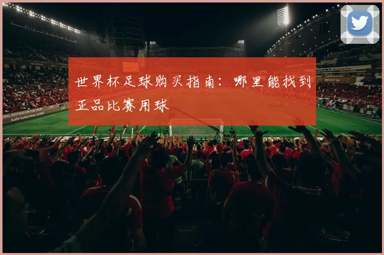 世界杯足球购买指南:哪里能找到正品比赛用球