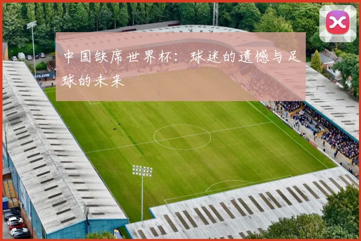 中国缺席世界杯：球迷的遗憾与足球的未来