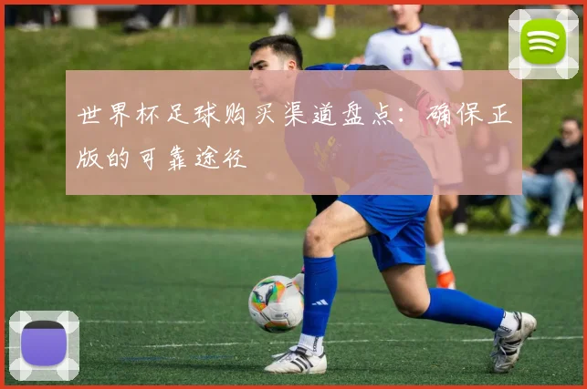 世界杯足球购买渠道盘点:确保正版的可靠途径