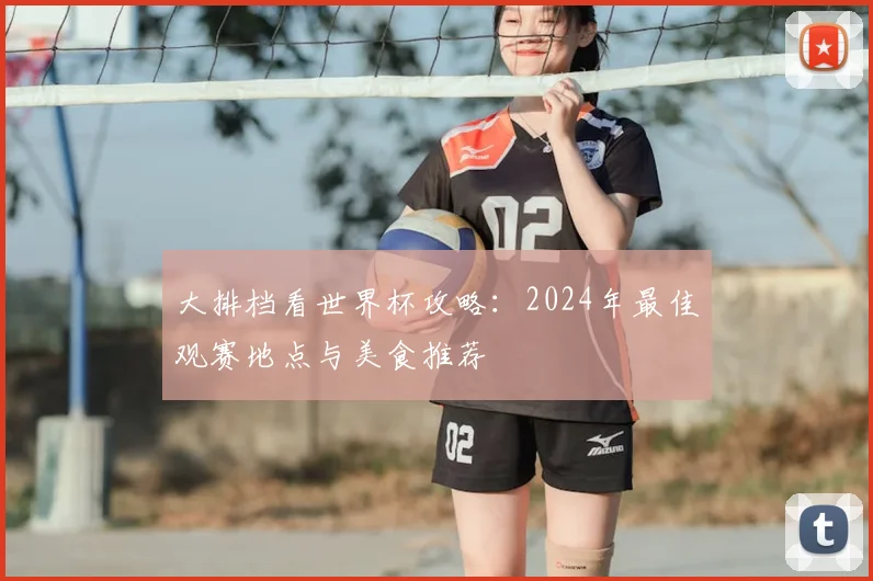 大排档看世界杯攻略：2024年最佳观赛地点与美食推荐