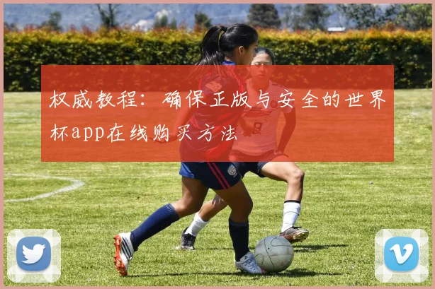 权威教程：确保正版与安全的世界杯app在线购买方法
