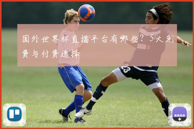 国外世界杯直播平台有哪些?5大免费与付费选择