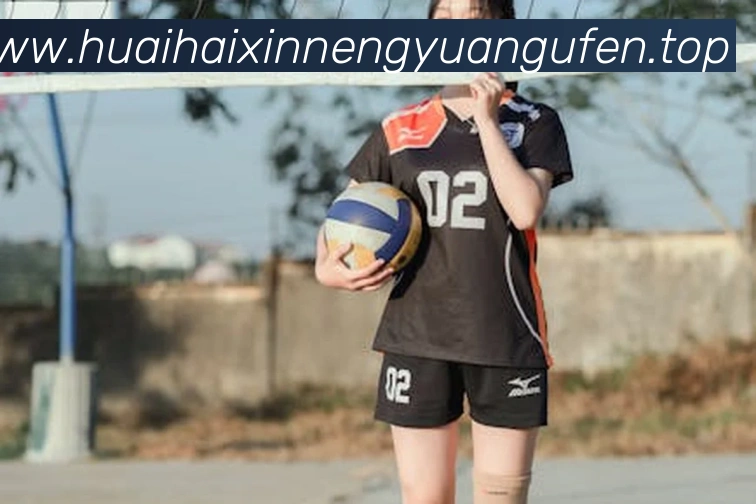 App Interface Preview